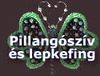 Manzard lepkefing